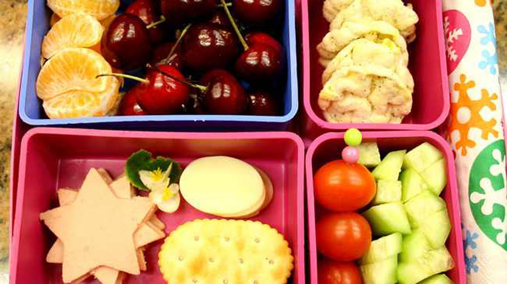 School Lunch Box Ideas - Ecococoon ™